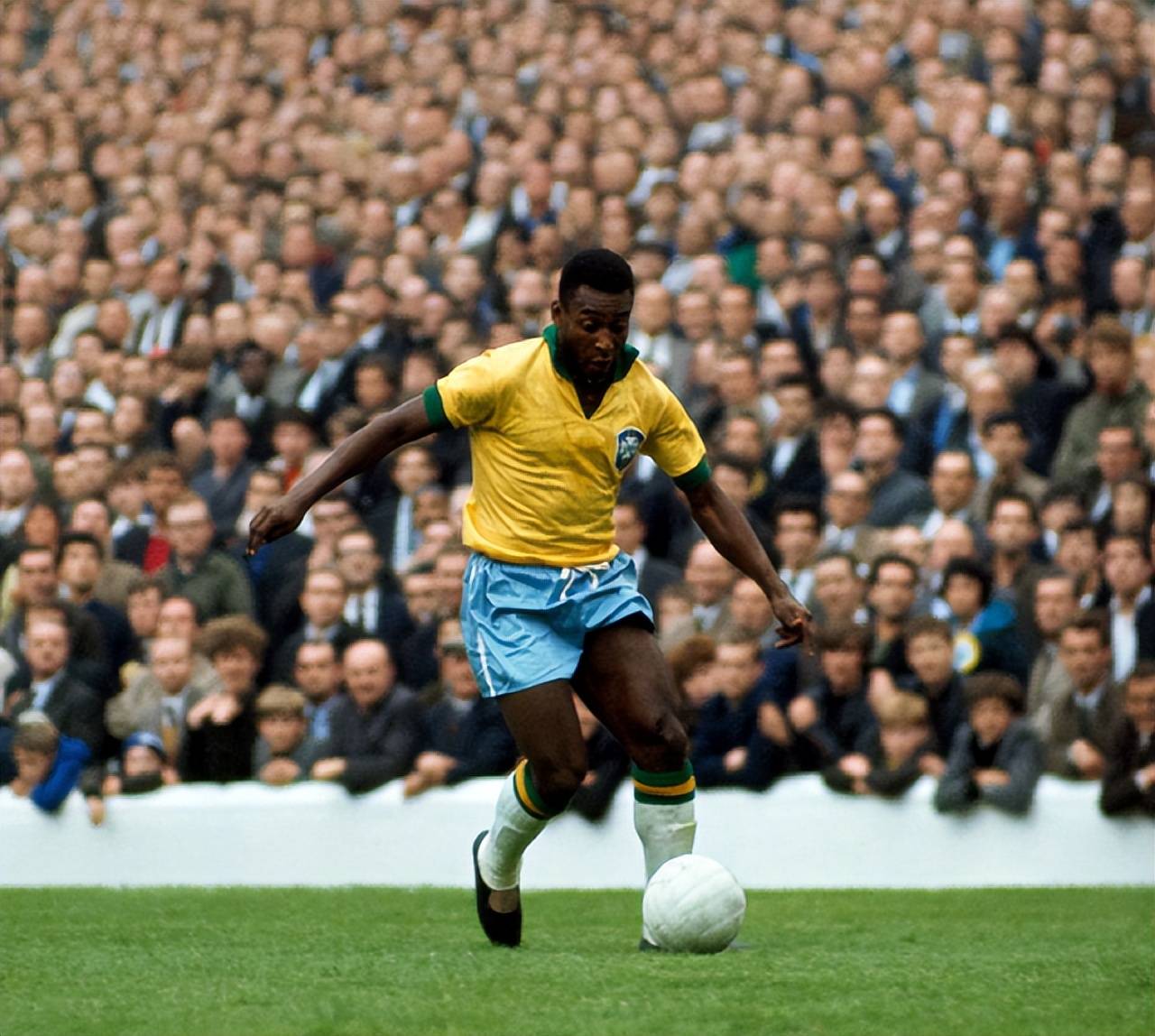 homepage-content-sections